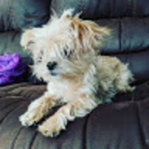 Meet your Posher, Gabrielle